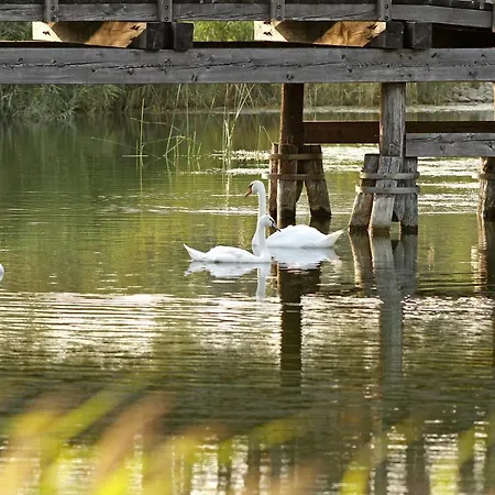 Pioppi Lido Altanea Apartman Caorle